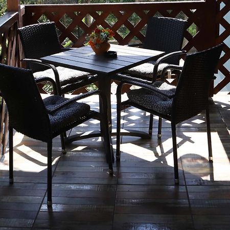 Żywiec Przytulny Apartament-Cosy And Beautiful מראה חיצוני תמונה