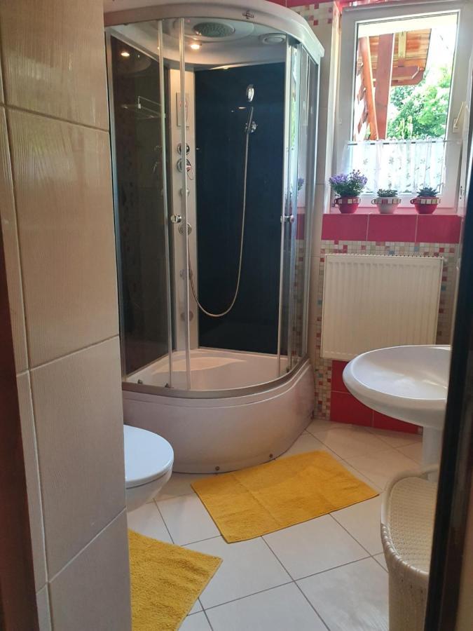 Żywiec Przytulny Apartament-Cosy And Beautiful מראה חיצוני תמונה