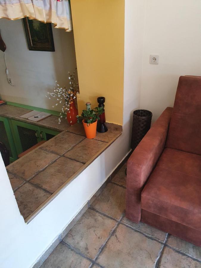 Żywiec Przytulny Apartament-Cosy And Beautiful מראה חיצוני תמונה