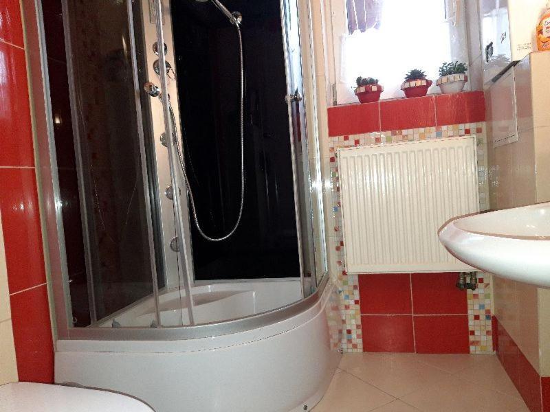 Żywiec Przytulny Apartament-Cosy And Beautiful מראה חיצוני תמונה